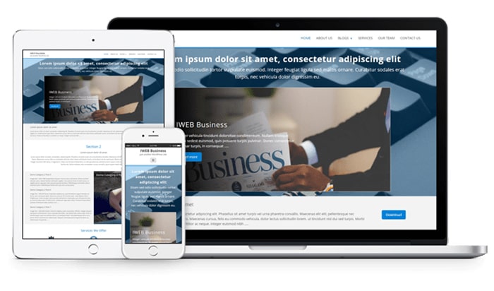 IWEB Business Theme